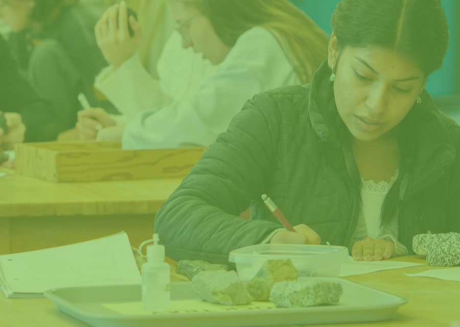 Student studying rocks